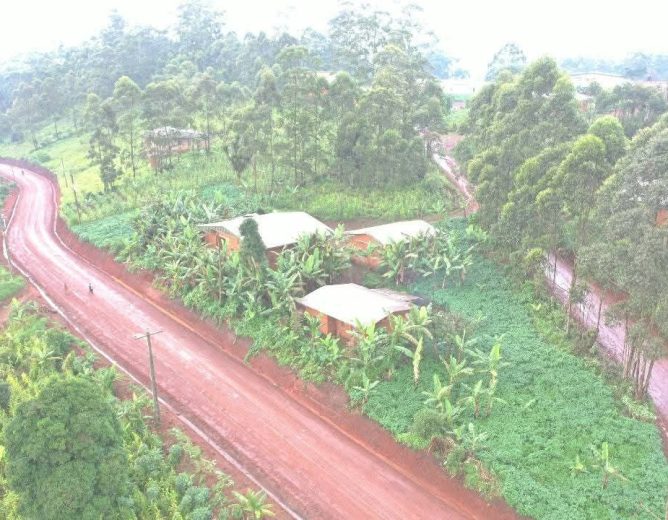 EXÉCUTION BIP : 15-07-25